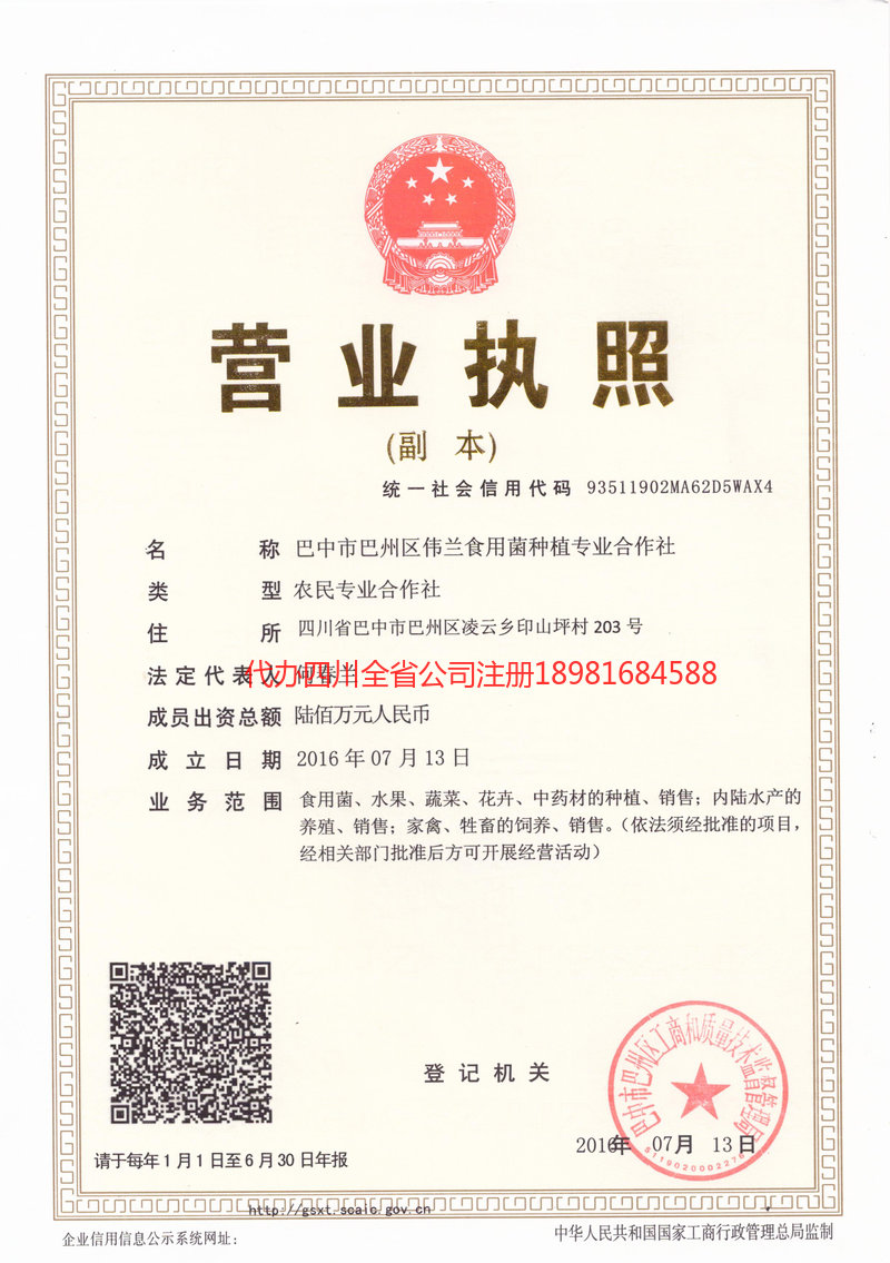 文山壮族苗族自治州文山壮族苗族自治州伟兰食用菌种植专业合作社